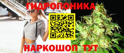 соль ск Гусев